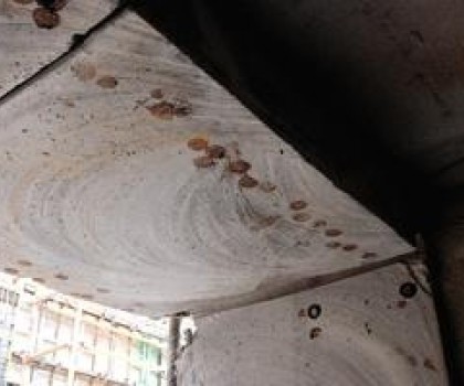 Holmes-Cut-and-Seal-Case-Study-1